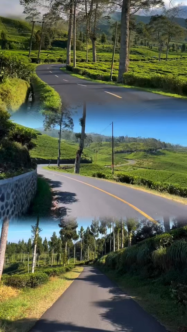3 mise en page vidéo satu