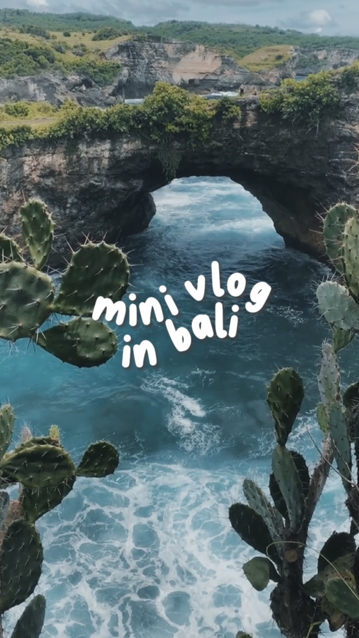 Mini Vlog