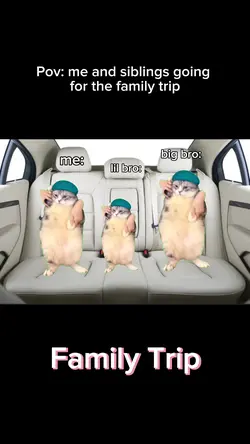 Family trip