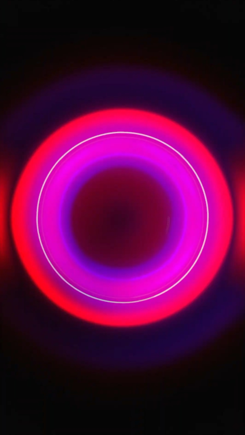 Portrait de rotation ²