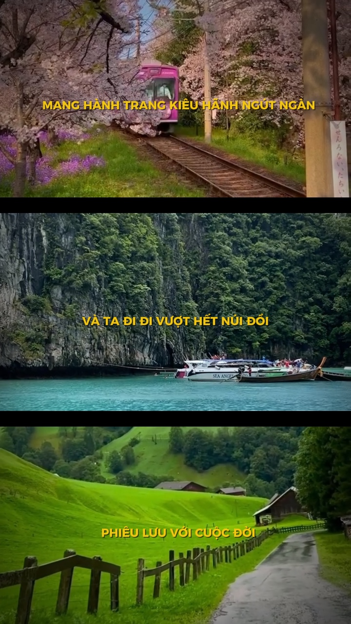 11 video hoặc ảnh