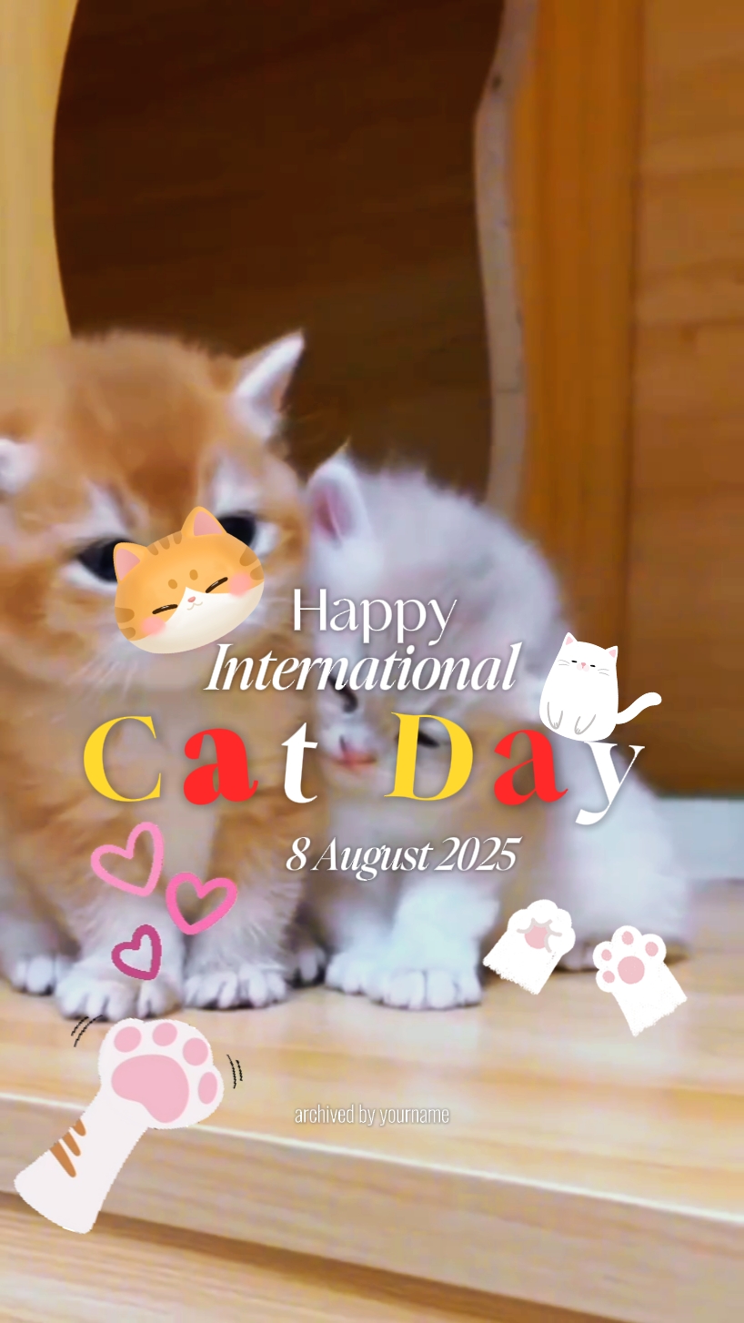 mutlu kedi günü 
