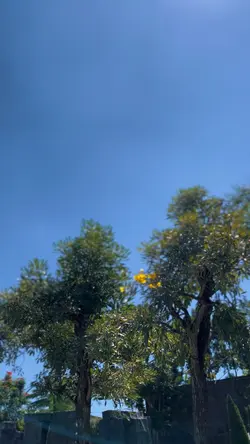 CINEMATIC VLOG 