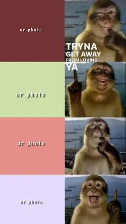poto with monkey