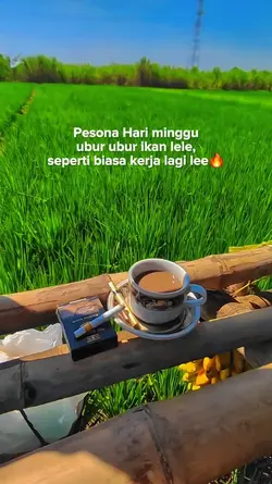 kerja lagi lee