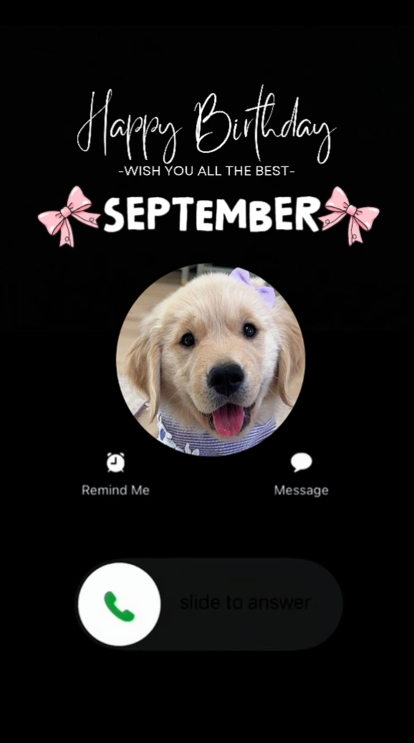Cachorro de aniversário de setembro