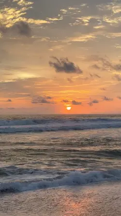1 video + 2 foto