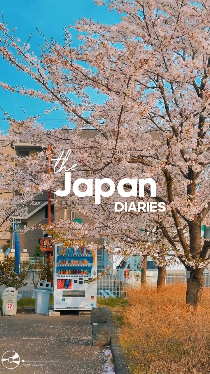 Viaje a Japón 