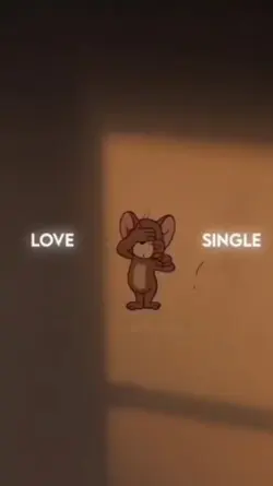 LOVE OR SINGLE