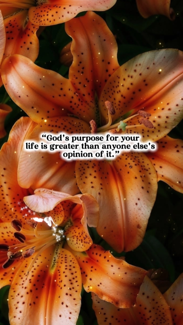 GOD PURPOSE FOR YOUR