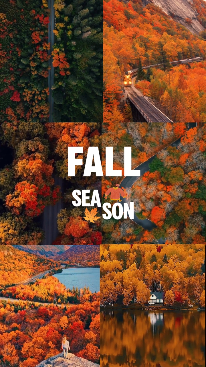 Fall season 