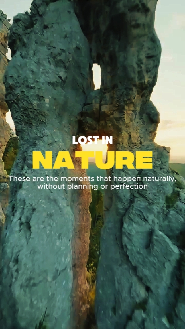 Perdido en la naturaleza