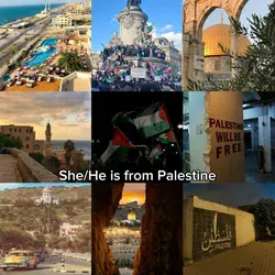 Palestine 
