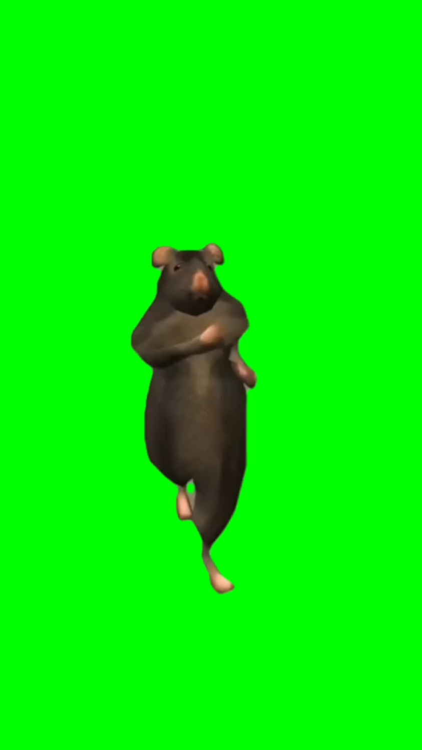 쥐춤