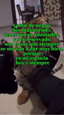 Vestido de negro 