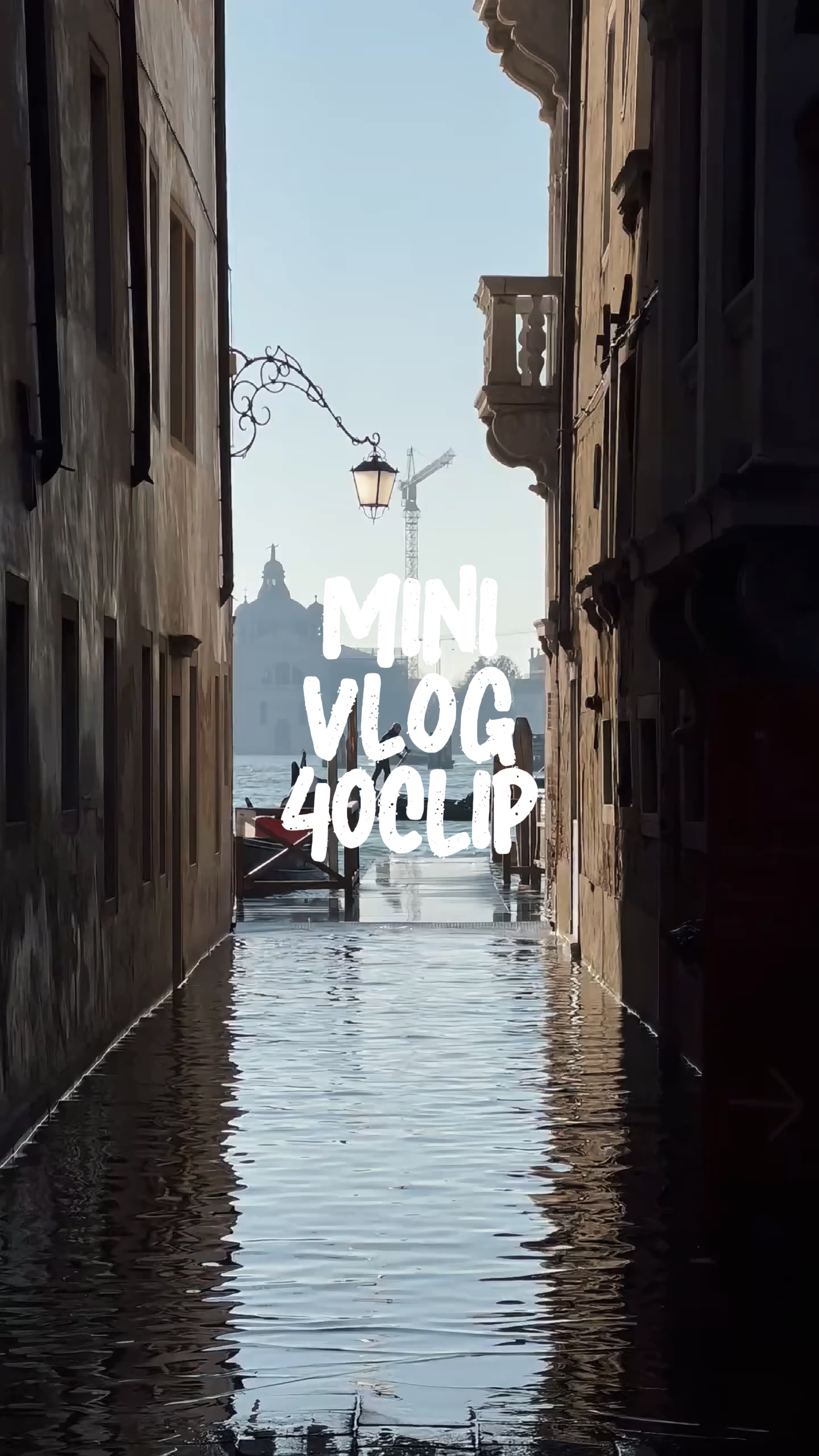 1minute vlog 