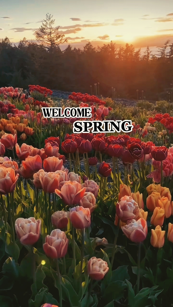 WELCOME SPRING 2026