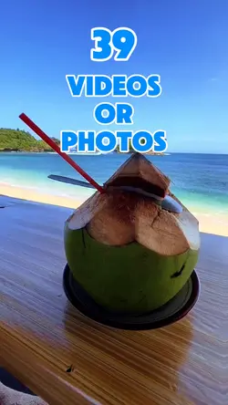 39 videos or photos