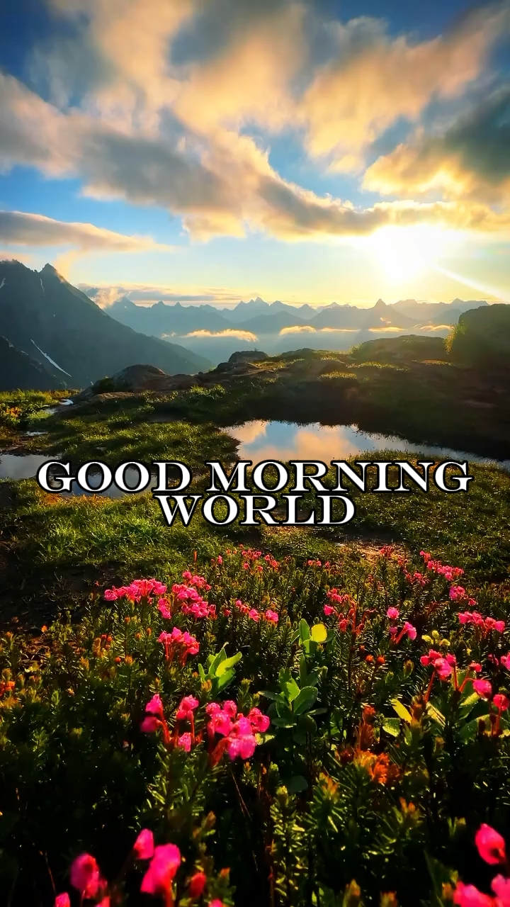 Bom Dia Mundo 