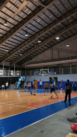 Basketball Trend
