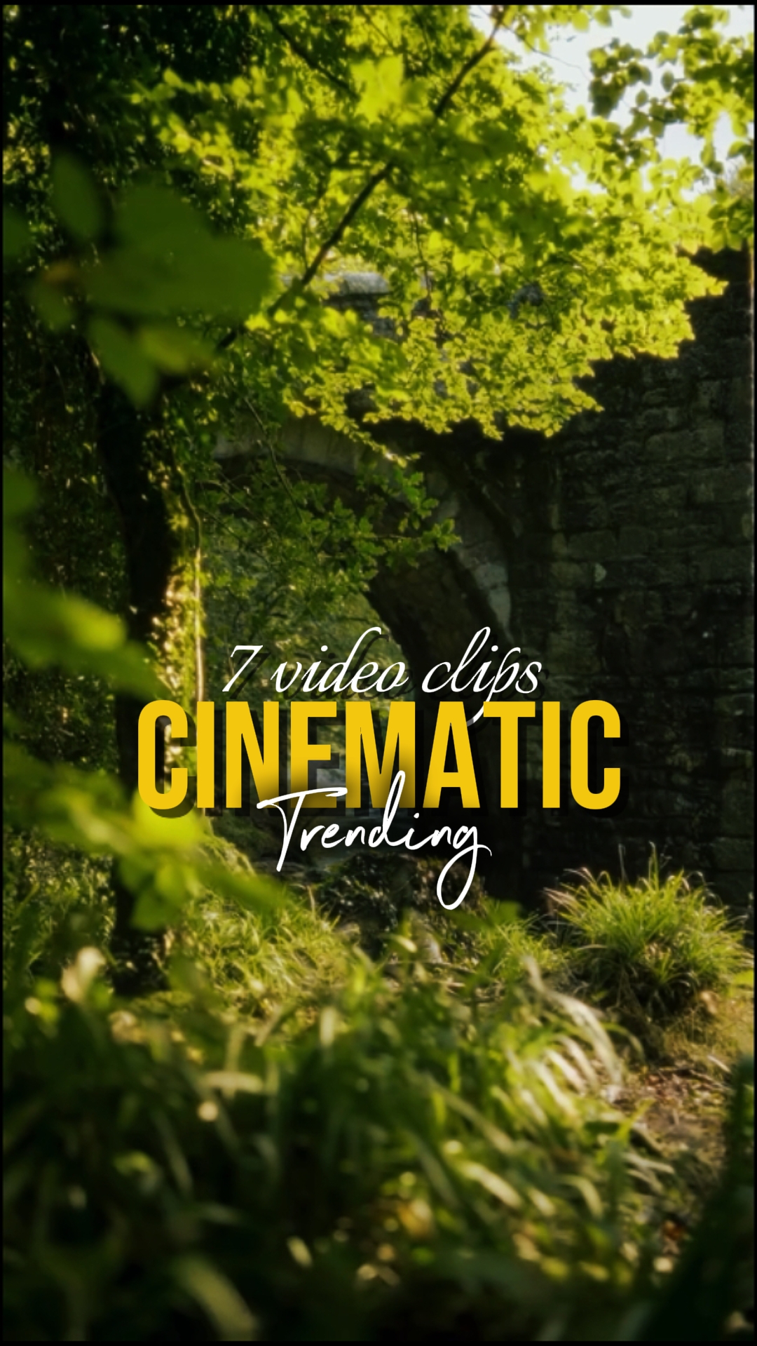TENDÊNCIA CINEMÁTICA