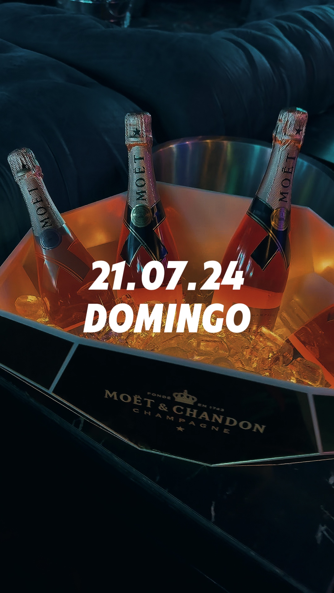 CLUB NOCTURNO 61 HD 