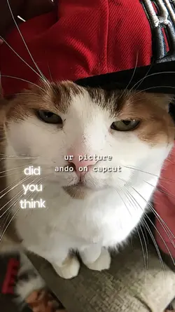 DID YOU THINK