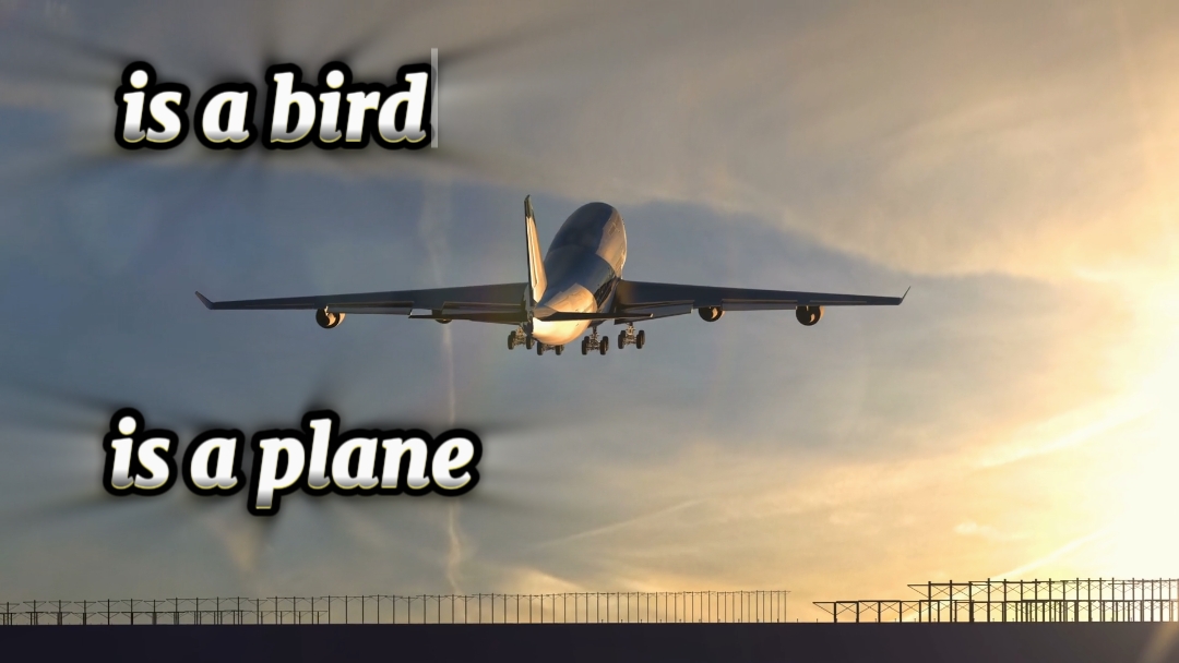 adalah pesawat atau burung