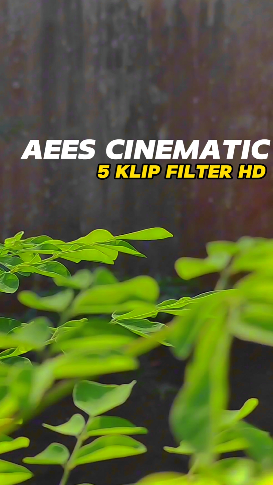 Cinématique Aees
