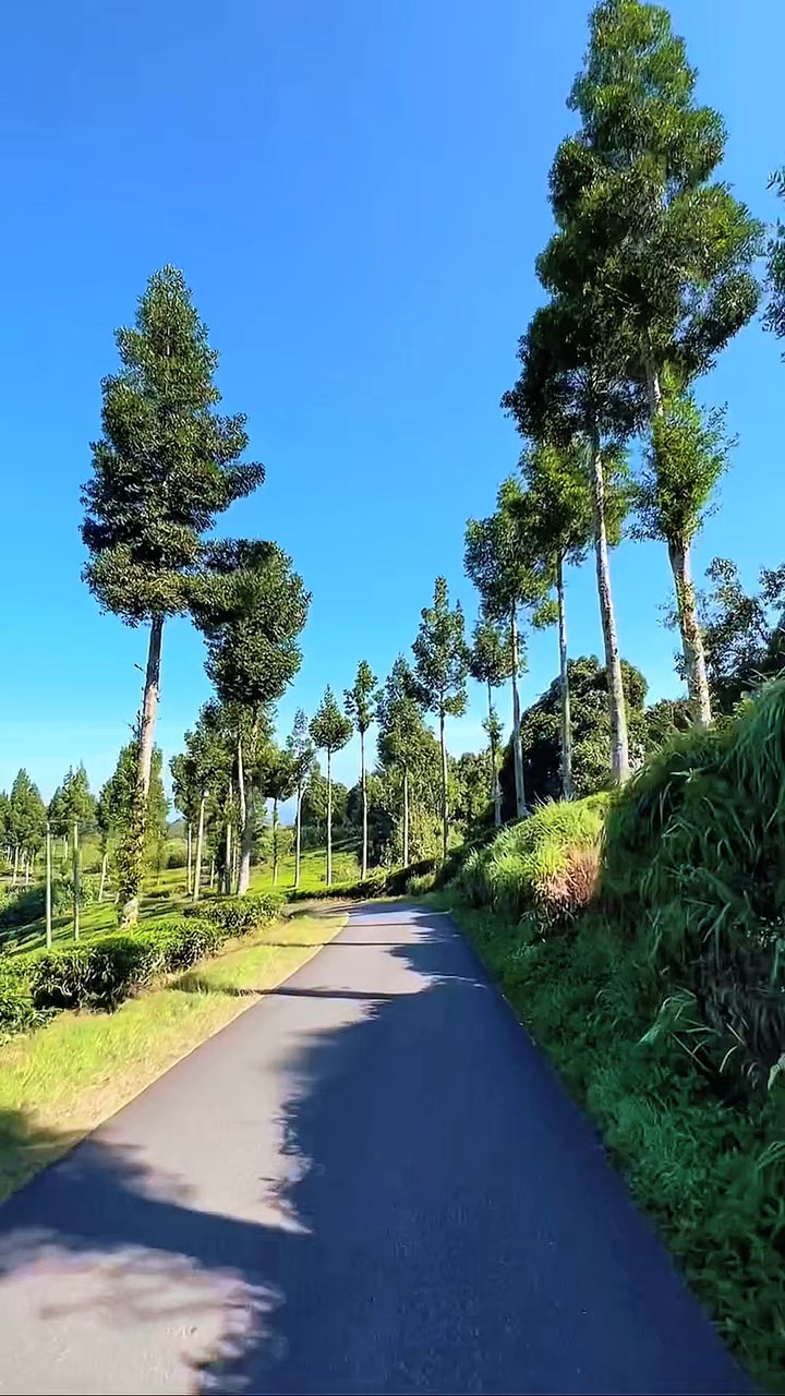 4 video road trip