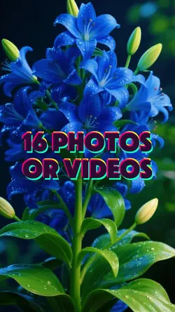 16 Photo Slides