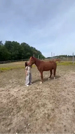 Ce poney 💕