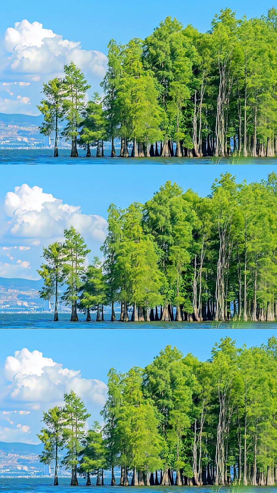 3 fotos estéticas 