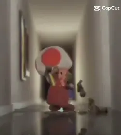 LIBERANDO O TOAD