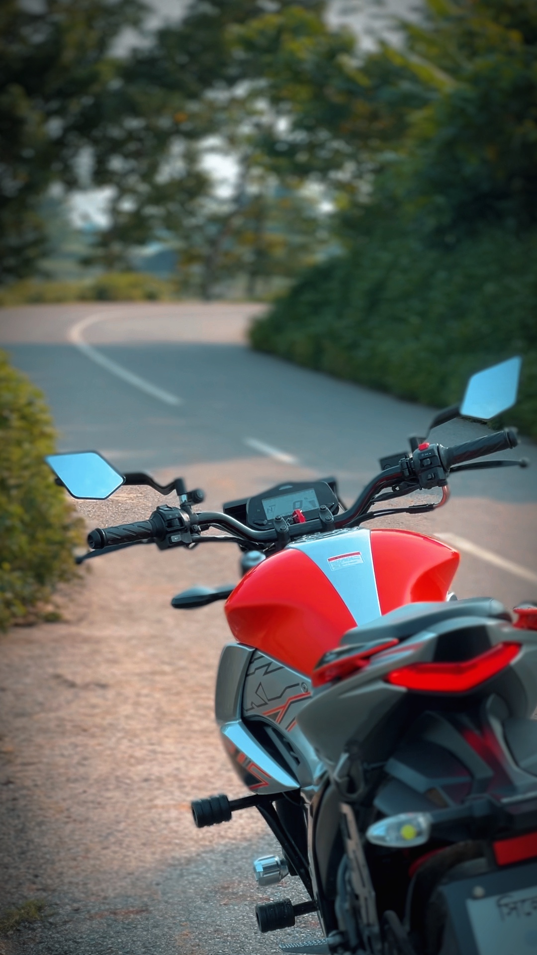 Modelo de bicicleta🕊️