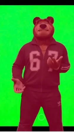 67 Bear meme 