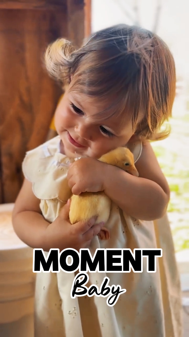 Moment Baby