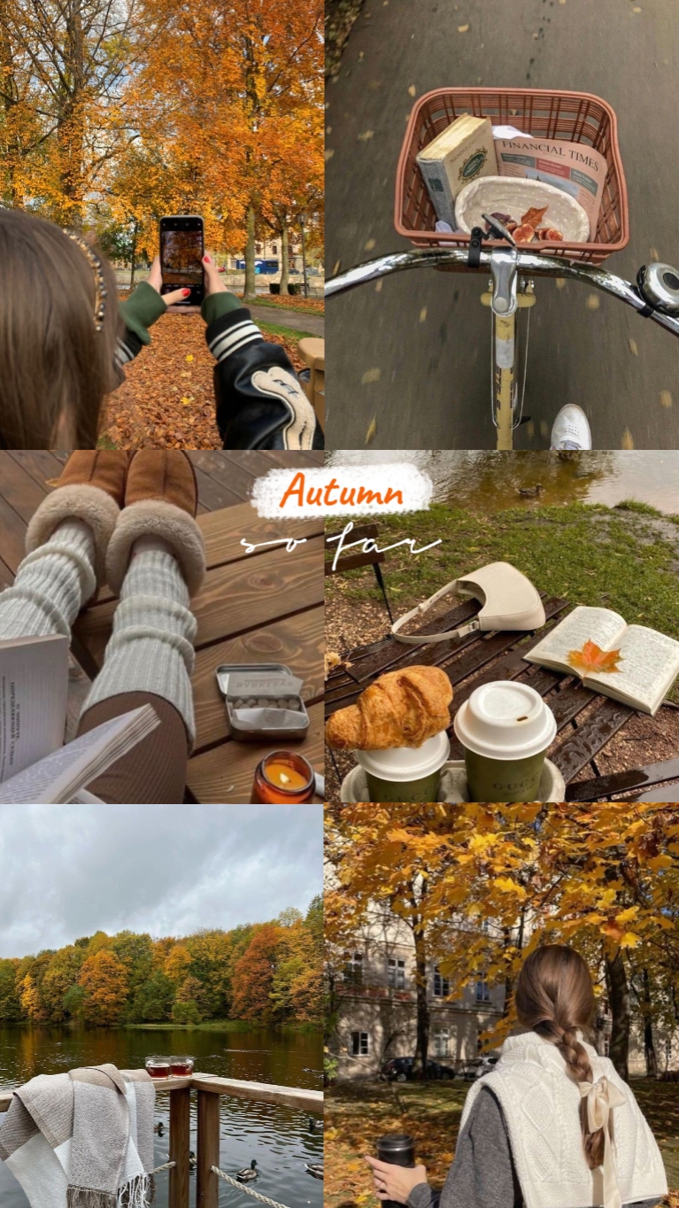 Autumn so far