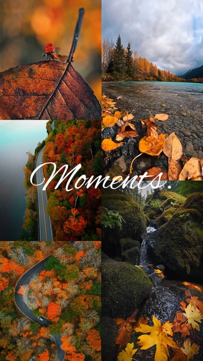 Cinematic Moments