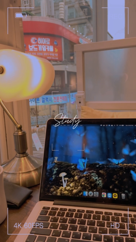 Study Vlog 