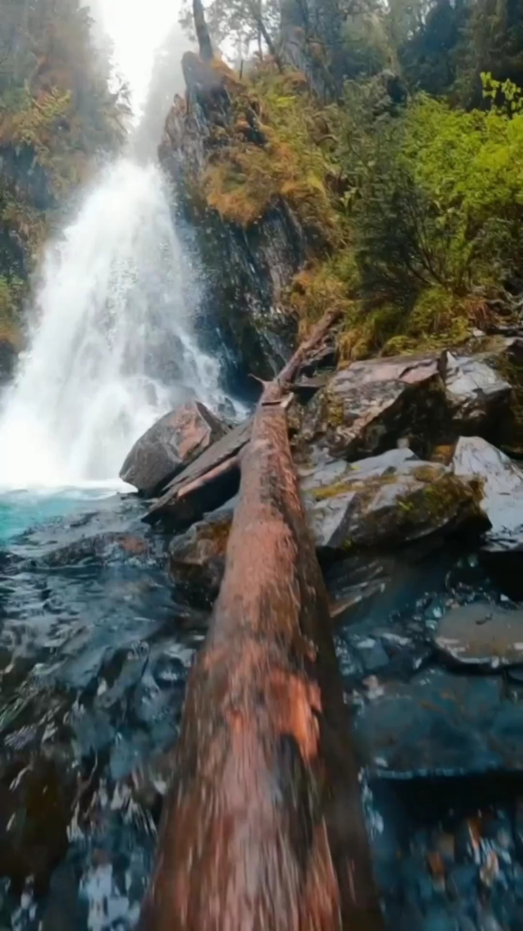 10 vidéo ou photo