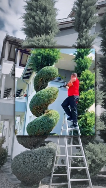 Berkebun