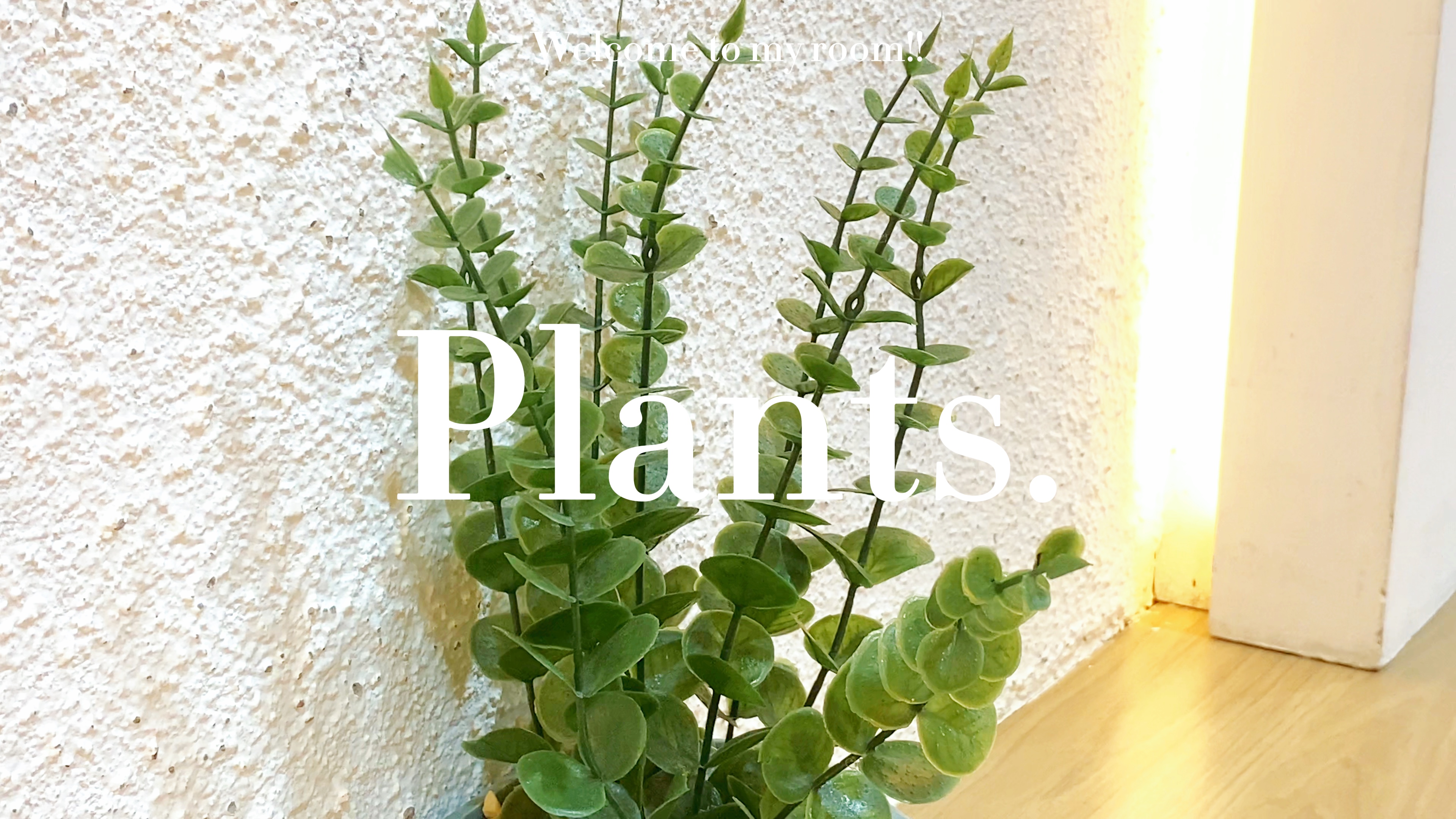 Plant?