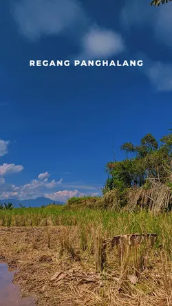 REGANG PANGHALANG