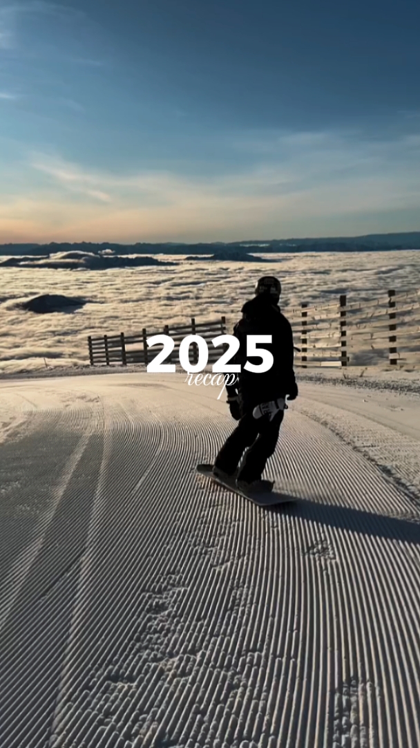 Récapitulatif 2025
