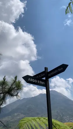 Vid Transisi 