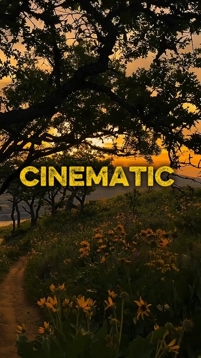 4 na Video ng Clips 