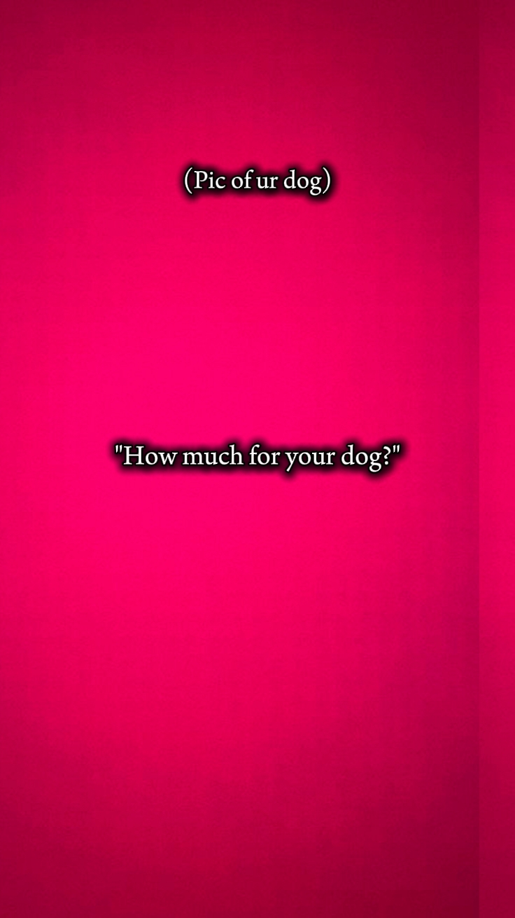 dog