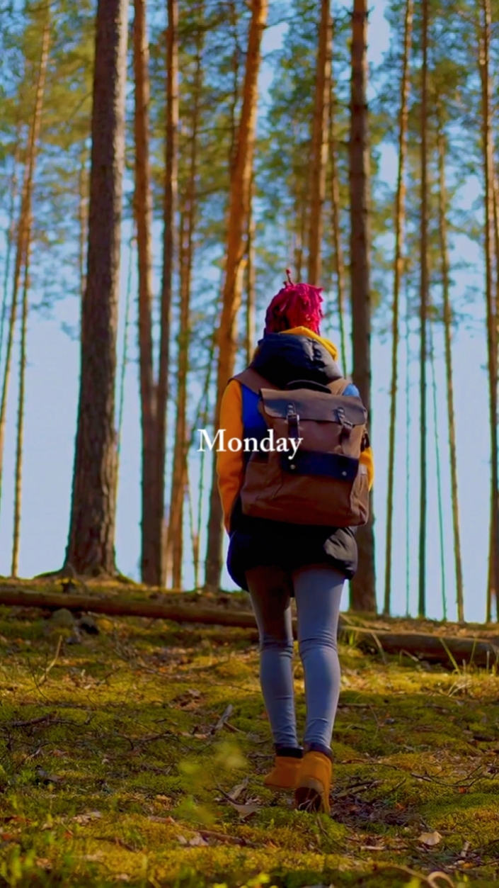 Monday Tuesday