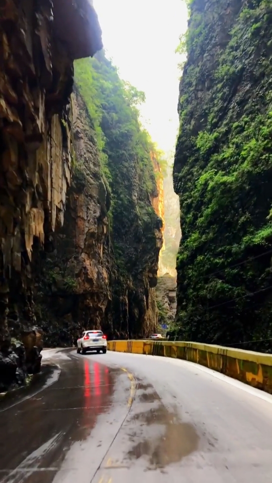 Travel 19